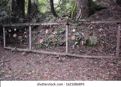 BB Gun Target Practice Range In The Forest.