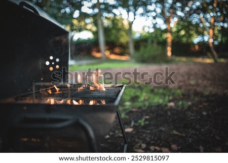 BBQ fire under the grill in a forest on vacation.