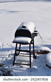 BBQ Girl In The Texas Winter Storm