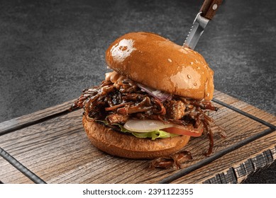 BBQ Pulled Pork Sandwich with tomato and pickles. Homemade pulled pork burger with bbq sauce