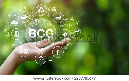 BCG icon concept for sustainable economic development, bio-economy, circular economy, green economy with icon on hand