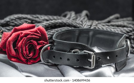 Bdsm Still Life, Black Human Collar, Scarlet Rose, Hank Of Black Rope For Bondage Shibari On A Gray Sheet On A Black Background