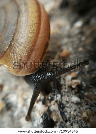 Similar – Image, Stock Photo Is it going down there…?