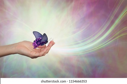 Be Still And Let Life Come To You - Female Hand Open With A Black And Pink Butterfly Resting Open Winged Against An Ethereal Energy Background With A Swish Of White Light
