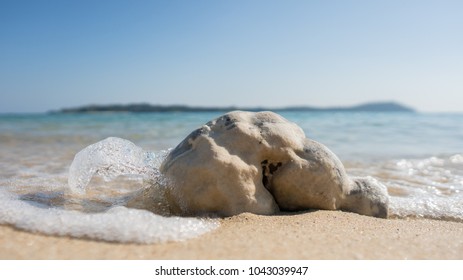 At the beach