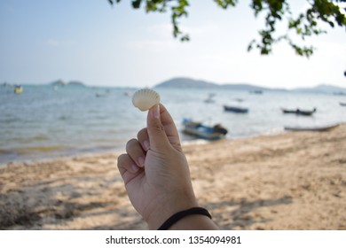 at the beach 
