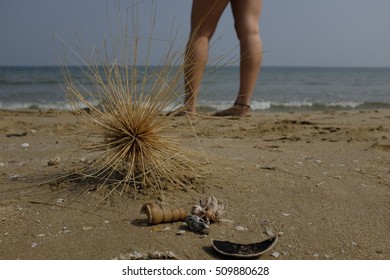 beach