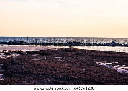 Similar – drained Beach Nature Sand