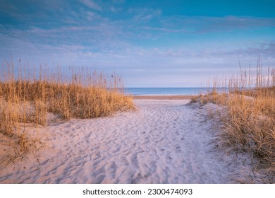 Beach access path through the dunes and sea grasses to the ocean on old lighthouse beach in Buxton, North Carolina on the Outer Banks.