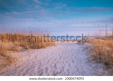 Beach access path through the dunes and sea grasses to the ocean on old lighthouse beach in Buxton, North Carolina on the Outer Banks.