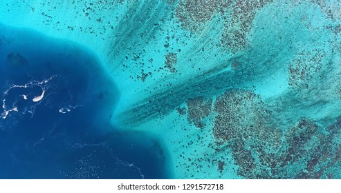 Beach In Aerial View, Papeete French Polynesia