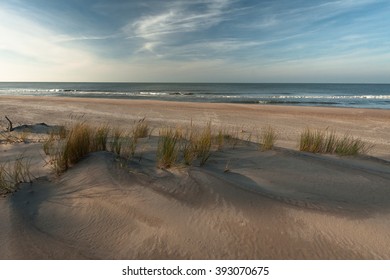 beach area 