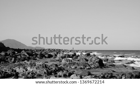 Similar – drained Beach Nature Sand