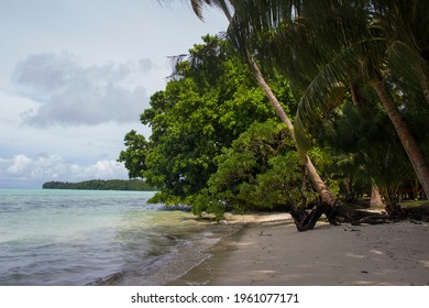 Beach Atmosphere During The Day On Carp Island, Palau, Micronesia.