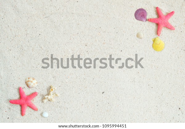 ビーチ背景 海浜砂に星や貝殻サンゴ 夏の背景のコンセプト の写真素材 今すぐ編集