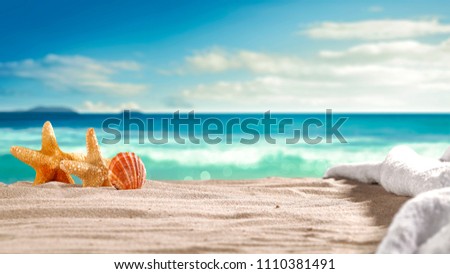 Beach background with shell and free space for your decoration