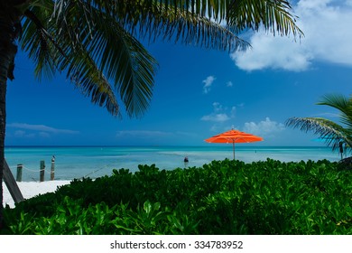 Beach in Bahamas - Shutterstock ID 334783952