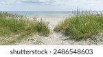 Beach at the Baltic Sea