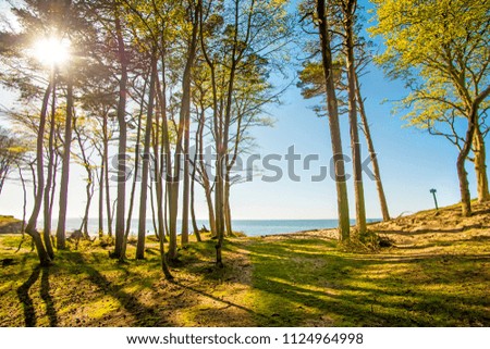 Similar – Foto Bild Ostseeküste in Polen