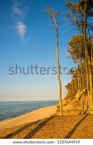 Similar – Image, Stock Photo Baltic Sea coast in Poland