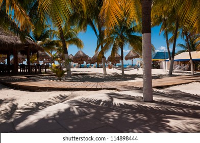 Beach Bar In The Caribbean, Under The Palm Trees