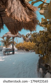 Beach Bar Under Palm Trees With Lots Of Plants And A View Over The Sea.