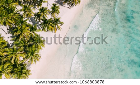 Beach with beautiful coastline. Palm trees and caribbean sea. Color water is turquoise, white sand and green palm trees. Little foaming waves. East National Park isla Saona, Dominican Republic