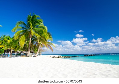Beach and beautiful tropical sea. Caribbean summer sea with blue water. White clouds on a blue sky over summer sea. Tropical sea relax.