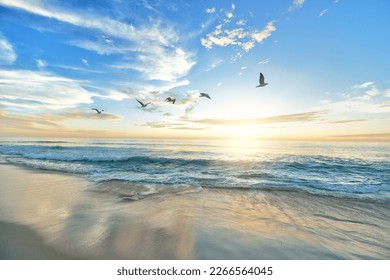 beach birds sea-ocean flying birds - Shutterstock ID 2266564045