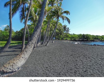 Punalu’u Beach, Black Sand Beach, Hawaii