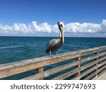 Beach and Boardwalk View in Lake Worth Florida