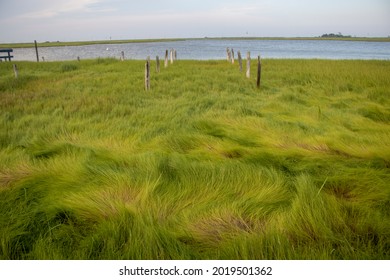 Beach Boat Dock Wind-blown Grass And Water Marsh Land