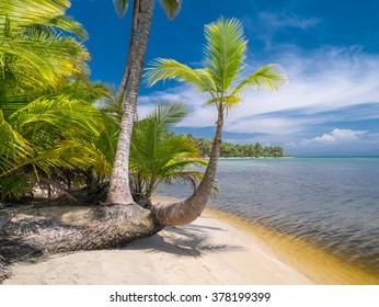 Beach In Bocas Del Toro, Panama, Central America