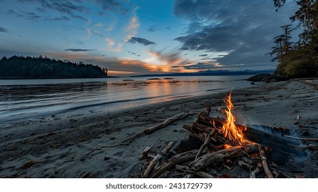 beach bonfire, sunset, twilight, shore, driftwood, sea, dusk, campfire, outdoor adventure, relaxation