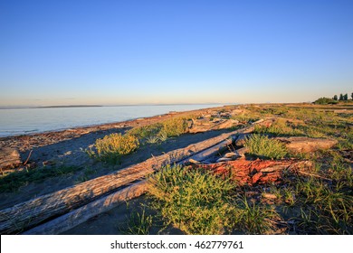 Beach In Boundary Bay Park, Bc, Canada