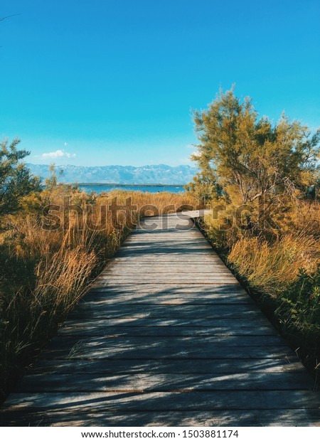 vsco c7