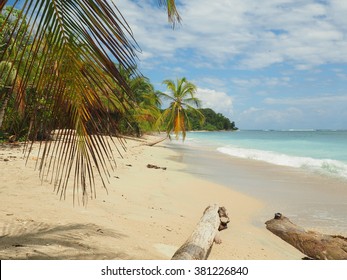 Beach In Cahuita National Park