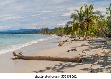 Beach In Cahuita National Park, Costa Rica