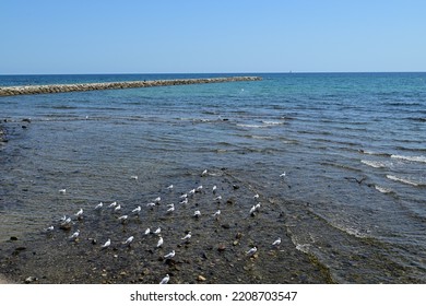 Beach In Cambrils, Tarragona, Spain