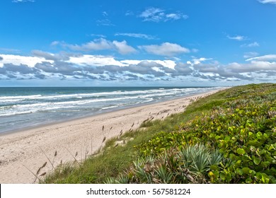 Beach at Canaveral National Seashore at Cape Canaveral Florida - Powered by Shutterstock