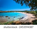 Beach Canteen Iguana, Crete, Greek Islands, Greece, Europe
