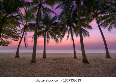 Beach of the Caribbean islands