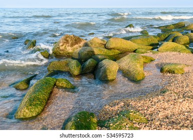 Beach Of The Caspian Sea. Derbent. Republic Of Dagestan, Russia