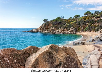 The Beach Of Cavoli On Elba Island In Italy Without People. Tuscan Archipelago National Park. Mediterranean Sea Coast. Vacation And Tourism Concept.