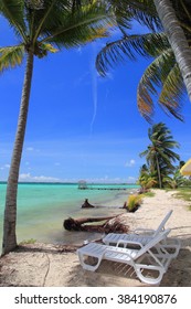 Beach Of Cayo Guillermo, Cuba