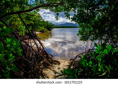 Beach In Ceiba Puerto Rico