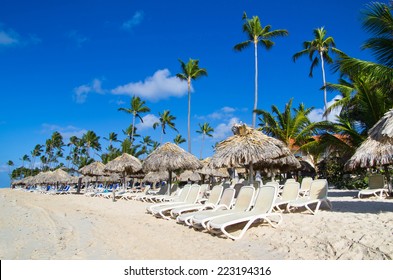 12,759 Under coconut tree Images, Stock Photos & Vectors | Shutterstock