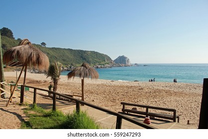 Beach In Chile