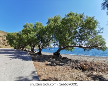 Beach Of Agía Markélla, Chios