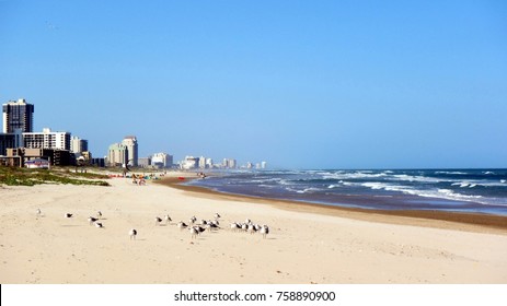 Beach and City of South Padre Island
